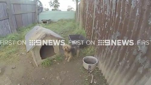 More than 200 dogs were found to be living in filthy conditions at the farm.