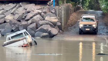 Multiple crocodiles were seen in the water nearby.