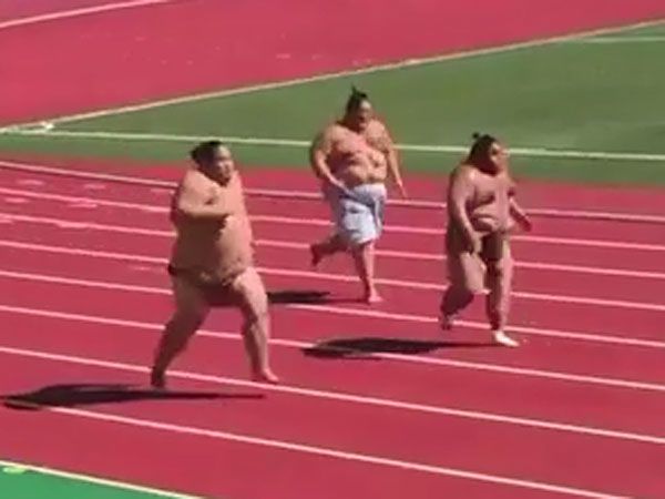 Sumo wrestlers let it all hang out in bizarre sprint