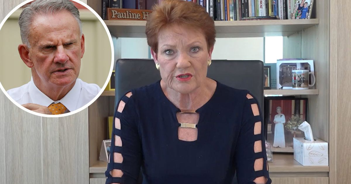 One Nation NSW leader Mark Latham blasted for ‘disgusting’ homophobic tweet