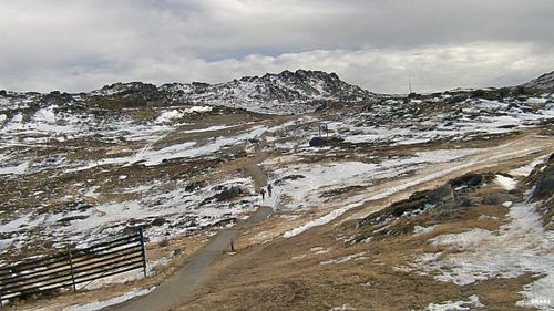 Kosciusko Walking Track on Tuesday. Up to 40cms of snow is forecast to fall on the NSW and Victorian Alps later this week (THREDBO SNOWCAM)