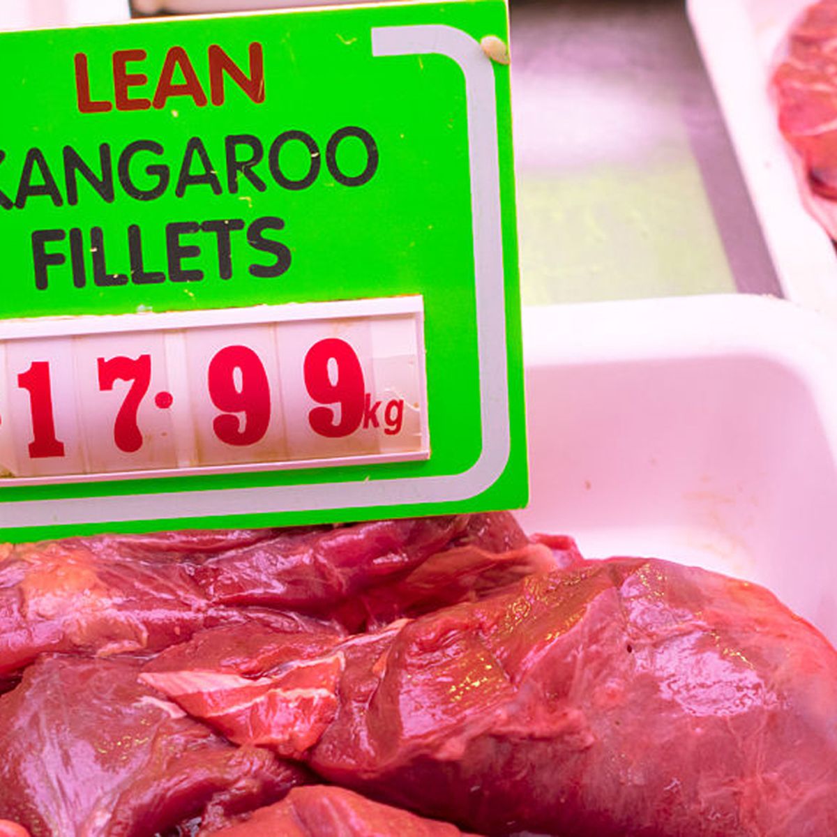 Hopping Mad Why Kangaroo Meat Is Great For Your Health 9coach