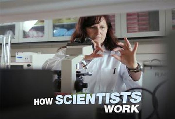 How Scientists Work