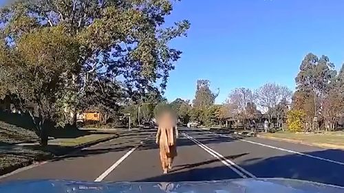 A woman has been seen laying down in front of a car on a Sydney street. Dashcam footage posted to Reddit has captured the interaction at Quakers Hill in the city's north-west last week.