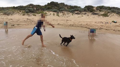 Perth family claims dog 'baited' after threatening letter