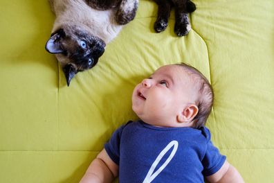 Babies and cats