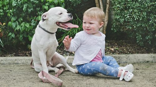 Ella's family adopted Snowy after seeing a video of her on the Animal Welfare League Queensland Facebook page. (AWLQ)