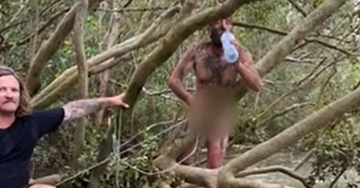 Mates on fishing trip find naked fugitive in Top End mangroves