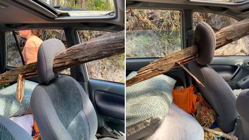 'So lucky': Schoolies escape injury after tree pierces windscreen