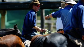 Prince Harry Photo Call at the Tooloombilla Property in Queensland 