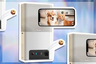 9PR: Petcube Bites 2 Lite 