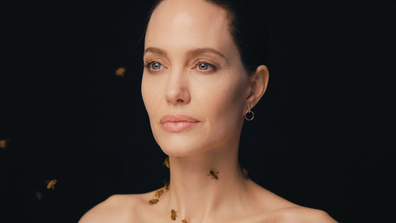 Angelina Jolie embraces bees—and female beekeepers as