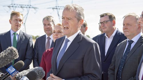 Bill Shorten has promised to end the Medicare freeze early, making healthcare more affordable.