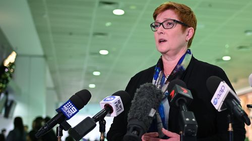 Australian Foreign Minister Senator Marise Payne addresses the media at Sydney International Airport.