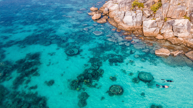 Lizard Island Resort snorkelling