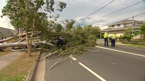 Wild winds have brought down trees and powerlines across Sydney's west and Blue Mountains, causing traffic chaos. (9NEWS)