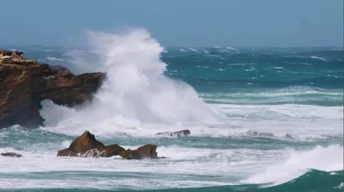 Wind gusts of up to 125km/h in parts across the south-east have been predicted.