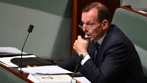 Tony Abbott steps up push for coal in energy debate. (AAP)