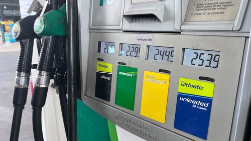 Prezzi elevati della benzina al distributore di carburante.