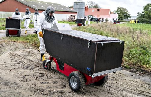 Employees from the Danish Veterinary and Food Administration and the Danish Emergency Management Agency transport a container at a mink farm, in Gjoel, Denmark