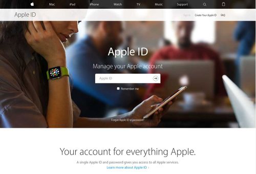 The fake Apple login page