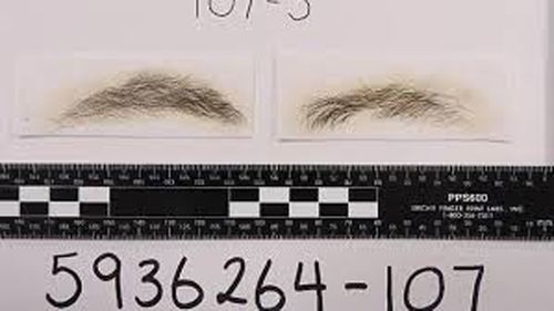 The waxed eyebrows were presented as evidence in Sarah Budge's trial.