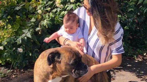 The family's three-month-old has been seriously injured and their pet dog died.