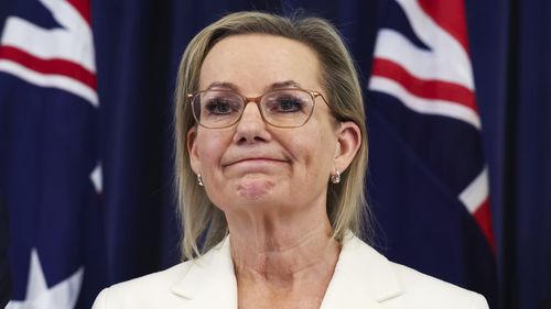 A líder da oposição, Sussan Ley, durante uma conferência de imprensa no Parlamento em Canberra, na quinta-feira, 13 de novembro de 2025.