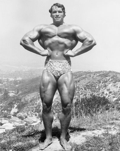 Arnold Schwarzenegger in 1966