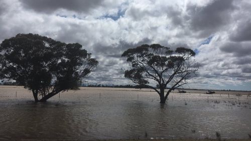 This is the second day torrential rain has hit parts of Victoria.