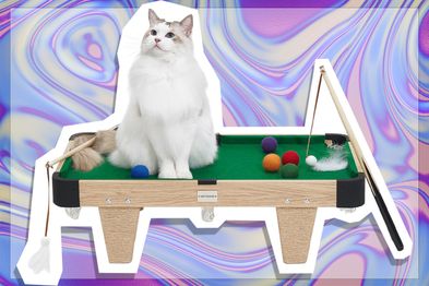 9PR: VETRESKA Mini Pool Table Cat Scratcher