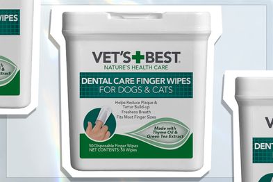 9PR: Vet's Best Dental Care Finger Wipes
