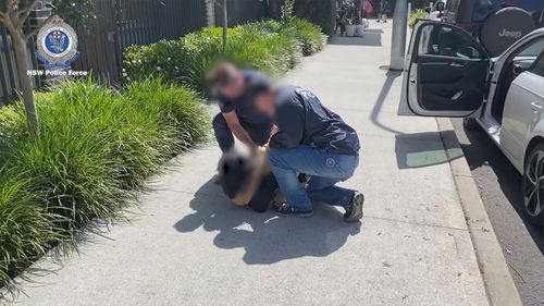 The supply of drugs and firearms across Sydney's southwest is being targeted by police who have pulled off coordinated arrests across multiple suburbs.