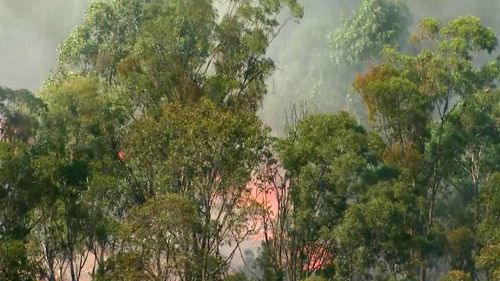 A grass fire came close to properties at West Hoxton near Liverpool in Sydney's south west.