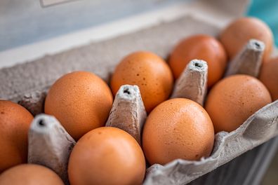 A dozen eggs, a carton, a chicken farm, boiled eggs 
