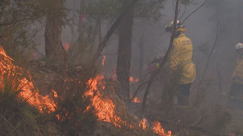 Fire crews across NSW are now ramping up controlled burns ahead of what is expected to be the worst bushfire season in 20 years. 