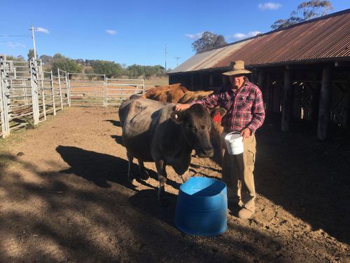 Craig Williams from Camden near Sydney is a cattle breeder and said he can't go on because of the drought.