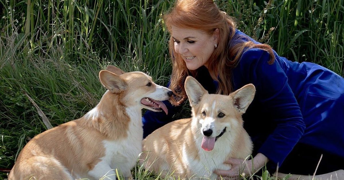 Fergie: 'Late Queen is talking to me' through her corgis