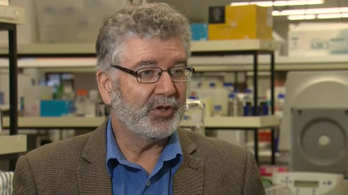 Professor Nigel McMillan has said the drug can nearly remove all COVID cells from a recipient's lungs.