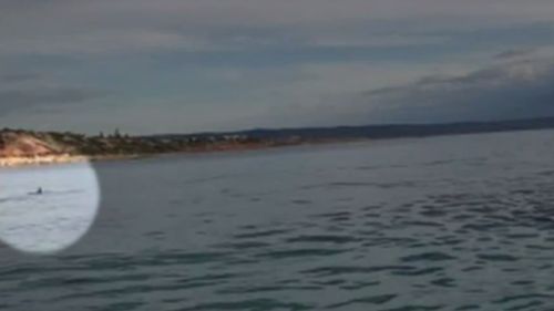 Mr Beach's encounter came just hours after another shark was spotted at Port Noarlunga. (9NEWS)