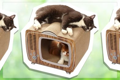 9PR: HAPPI NEKO TV Cardboard Cat Scratcher House and Bed