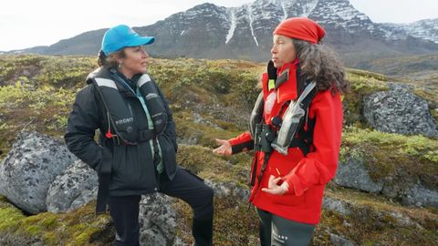 Exploring Greenland’s Majestic Coastline – A Journey of a Lifetime