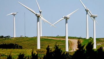A Uruguayan wind farm. (AAP)