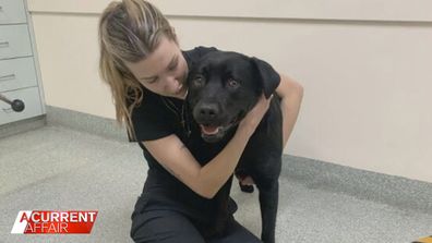 Courtney reuniting with Leo at a suburban vet.