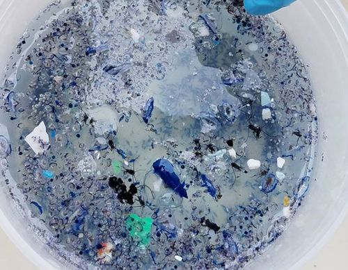 Microscopic pieces of plastic found in the giant garbage patch. (researchgate.net)