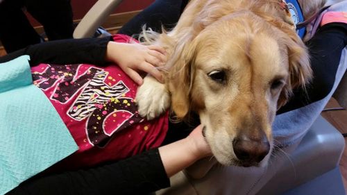 Meet the doggie dental assistant comforting anxious kids during their appointments