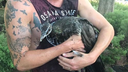 The owner happily reunited with his bird.