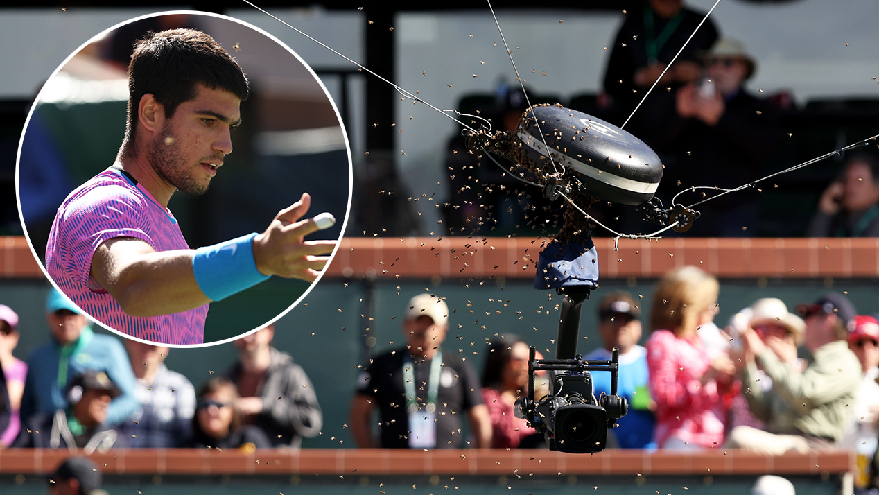 Partido de cuartos de final entre Carlos Alcaraz y Alexander Zverev suspendido por enjambre de abejas, video