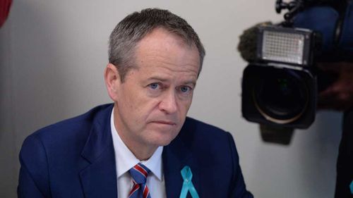 Labor vows $8 million to combat 'silent killer' ovarian cancer