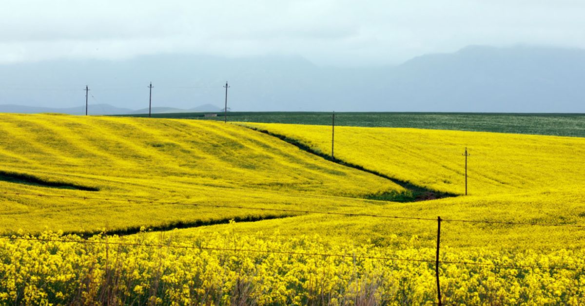 Jump in value of farmland beats all other Australian property: report